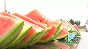 天津静海吃瓜视频