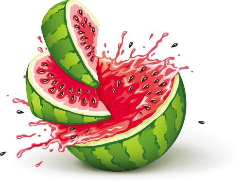 小朋友地里吃瓜,小农夫地里吃瓜记