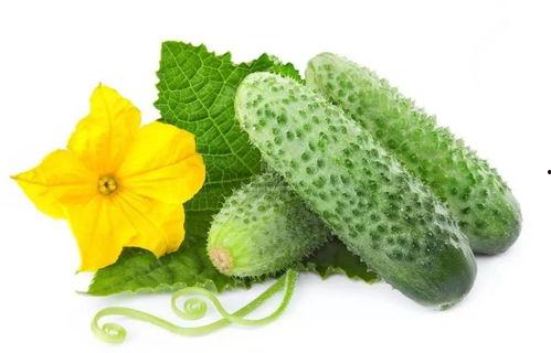 江小渔吃瓜系统,揭秘娱乐圈幕后真相