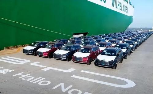 比亚迪销售吃瓜事件,揭秘背后真相与行业影响