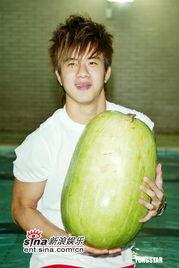 嘉薇吃瓜,揭秘娱乐圈幕后真相