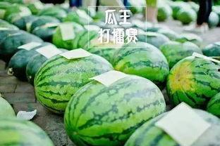 谁是吃瓜王比赛,一场全民参与的瓜界争霸盛宴