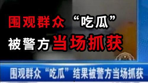 最新吃瓜消息新闻,神秘事件背后真相揭晓