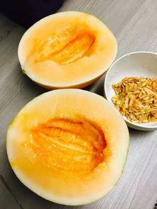 蜜瓜怎么吃方便,解锁夏日清新美味