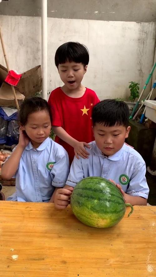 哥哥姐姐吃瓜吗,揭秘娱乐圈幕后故事