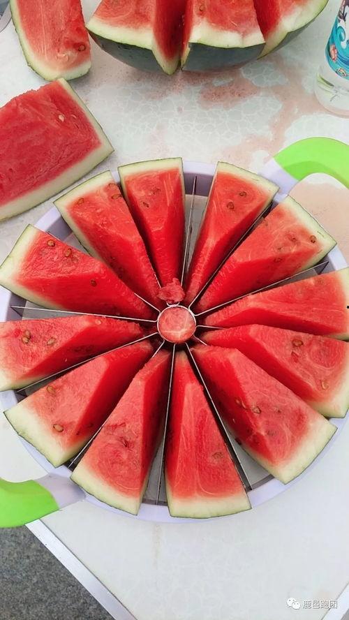 吃瓜比赛介绍